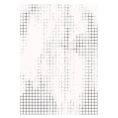 Килим Windowpane Білий, 165x240 (1641458701)