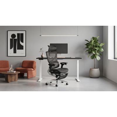 Кресло ADAPWORK L3 Mesh Max Lead Ergochair Platinum Deep Black (1061490013) дешево