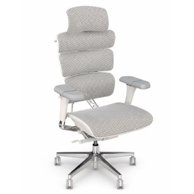 Кресло ADAPWORK L5 Lead Ergochair Platinum Alpine Grey (1061489597)