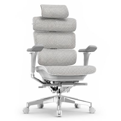 Крісло ADAPWORK L5 Mesh Lead Ergochair Platinum Alpine Grey (1061489597)