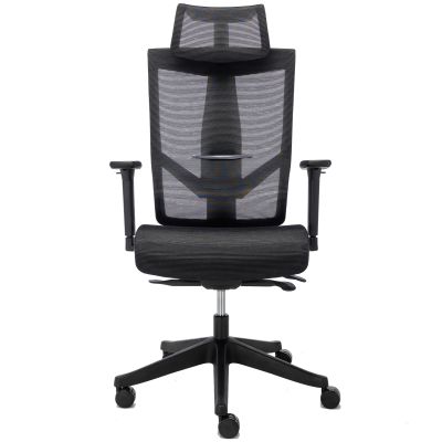 Кресло ADAPWORK M1 Mesh Middle Ergochair Deep Black (1061486395) недорого