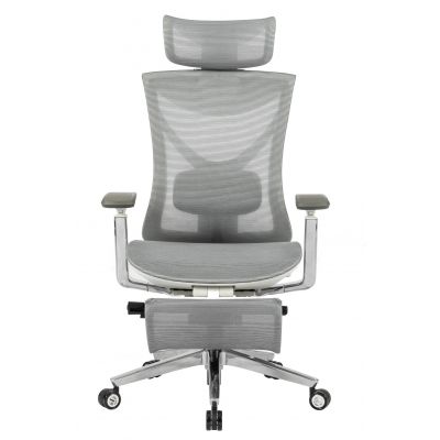 Крісло ADAPWORK S1 Mesh Pro Max Senior ErgoChair Platinum Alpine Grey (1061205567) недорого