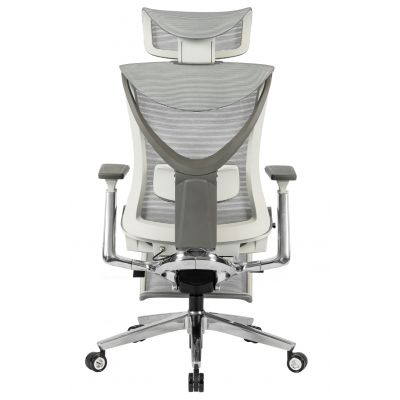Крісло ADAPWORK S1 Mesh Pro Max Senior ErgoChair Platinum Alpine Grey (1061205567) с доставкой