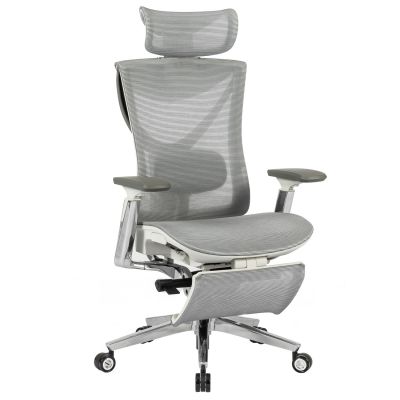 Крісло ADAPWORK S1 Mesh Pro Max Senior ErgoChair Platinum Alpine Grey (1061205567)