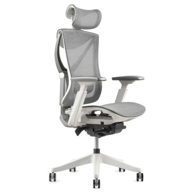 Крісло ADAPWORK S1 Mesh Senior ErgoChair Alpine Grey (1061485442) недорого
