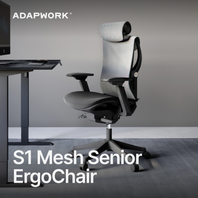 Крісло ADAPWORK S1 Mesh Senior ErgoChair Alpine Grey (1061485442) дешево
