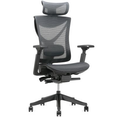 Кресло ADAPWORK S1 Mesh Senior ErgoChair Deep Black (1061485441)