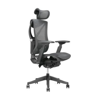 Кресло ADAPWORK S1 Mesh Senior ErgoChair Deep Black (1061485441) дешево