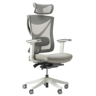 Крісло ADAPWORK S1 Senior ErgoChair Alpine Grey (1061485436)