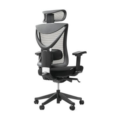 Кресло ADAPWORK S1 Senior ErgoChair Deep Black (1061485435) с доставкой
