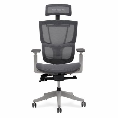 Крісло ADAPWORK S2 Mesh Senior ErgoChair Alpine Grey (1061485437) недорого