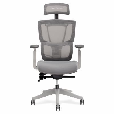 Крісло ADAPWORK S2 Senior ErgoChair Alpine Grey (1061485444) недорого