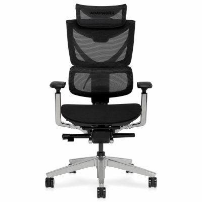 Кресло ADAPWORK S3 Pro Senior ErgoChair Platinum Grafite Black (1061485428) недорого