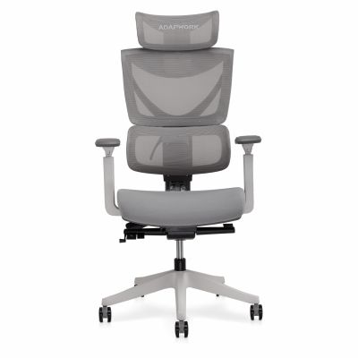 Крісло ADAPWORK S3 Senior ErgoChair Alpine Grey (1061485423) недорого