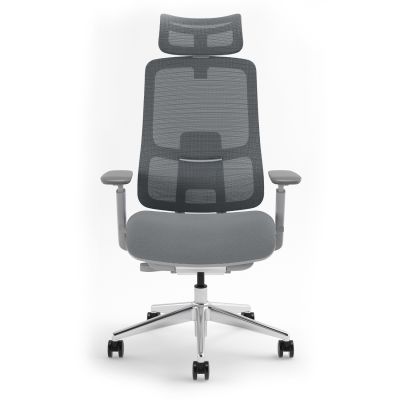 Крісло ADAPWORK S4 Senior ErgoChair Alpine Grey (1061023936)