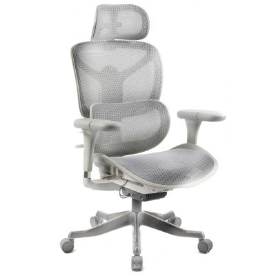 Крісло ADAPWORK S7 Mesh Senior ErgoChair Alpine Grey (1061485431)