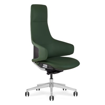 Кресло ICONTRON FORM CHAIR Emerald graphite (1781485764)