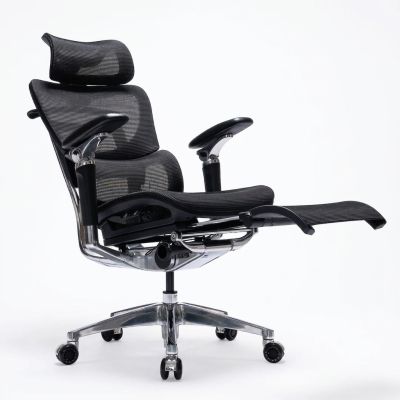 Підніжка ADAPWORK Footrest L1 Mesh Lead Ergochair Black (1061486152) недорого
