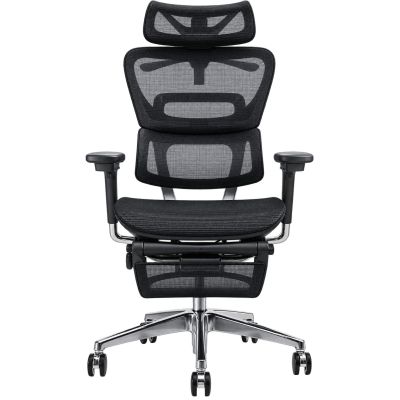 Підніжка ADAPWORK Footrest L1 Mesh Lead Ergochair Black (1061486152) дешево