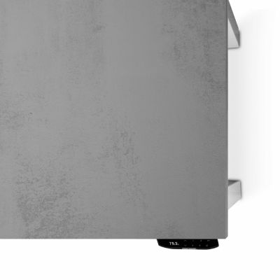 Комп'ютерний стіл Регульований ADAPWORK Smart 4L 2 Motor AdapDesk 136х66 36 мм Smoky Gray, Snow White (1061489106) с доставкой
