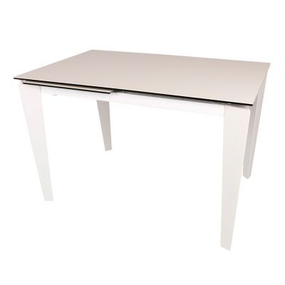 Стіл Alta 120x80 Білий матовий (52443372) недорого