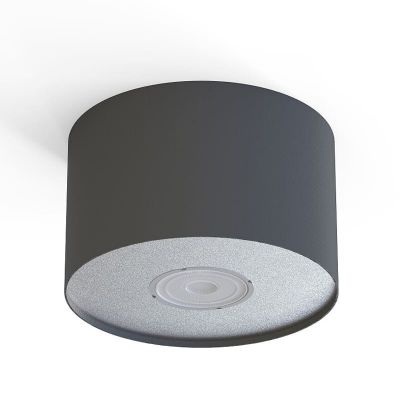 Точечный светильник Point S Графитовый (109731887) дешево