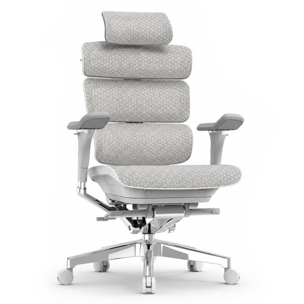 Кресло ADAPWORK L5 Mesh Lead Ergochair Platinum Alpine Grey (1061489597)