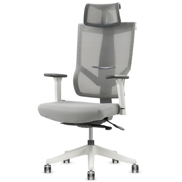 Кресло ADAPWORK M1 Middle ErgoChair Alpine Grey (1061485439) недорого
