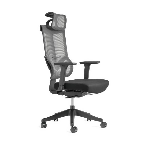 Кресло ADAPWORK M1 Middle ErgoChair Deep Black (1061485440) в Украине