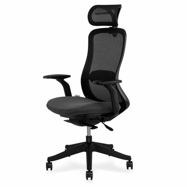 Кресло ADAPWORK M4 Middle Ergochair Grafite Black (1061485853) купить