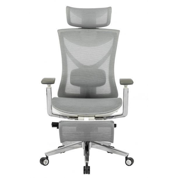 Кресло ADAPWORK S1 Mesh Pro Max Senior ErgoChair Platinum Alpine Grey (1061205567) в интернет-магазине