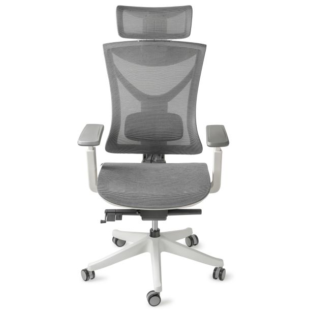 Кресло ADAPWORK S1 Mesh Senior ErgoChair Alpine Grey (1061485442) в Киеве