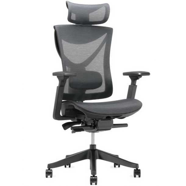 Кресло ADAPWORK S1 Mesh Senior ErgoChair Deep Black (1061485441) с доставкой