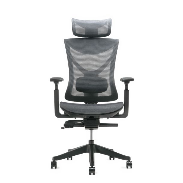 Кресло ADAPWORK S1 Mesh Senior ErgoChair Deep Black (1061485441) в Украине