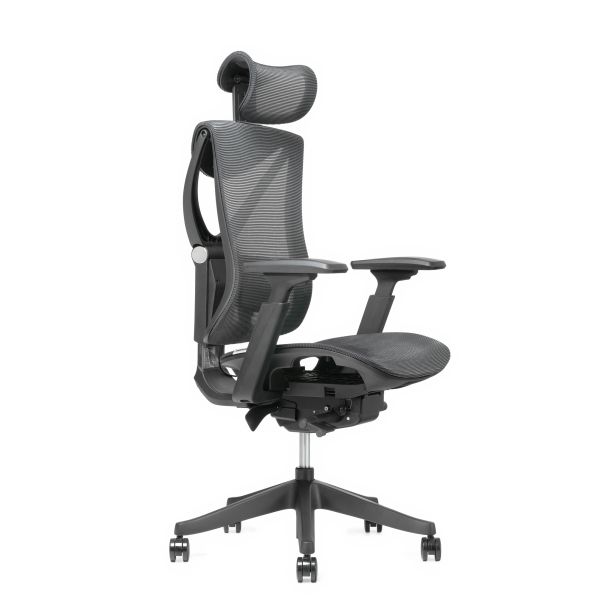 Кресло ADAPWORK S1 Mesh Senior ErgoChair Deep Black (1061485441) в Киеве