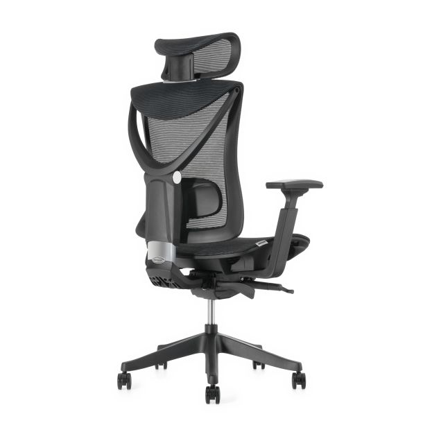 Кресло ADAPWORK S1 Mesh Senior ErgoChair Deep Black (1061485441) фото