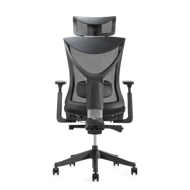 Кресло ADAPWORK S1 Mesh Senior ErgoChair Deep Black (1061485441) недорого