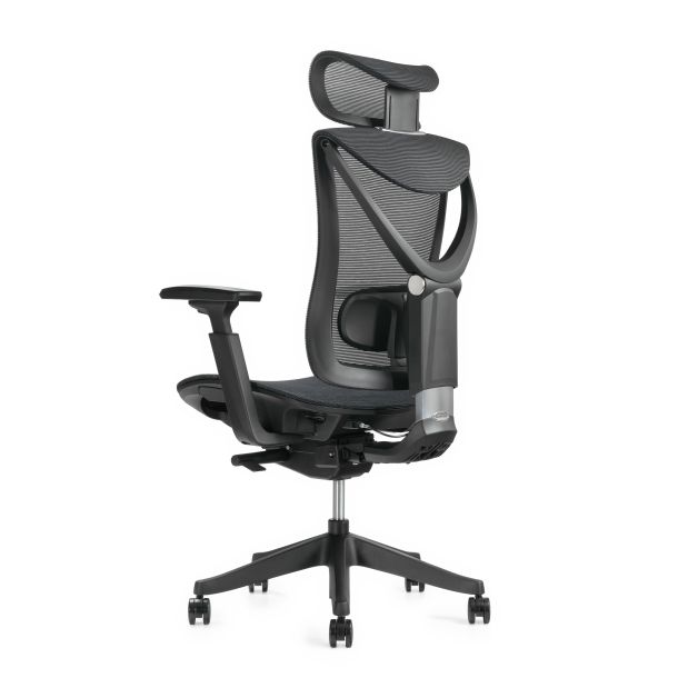Кресло ADAPWORK S1 Mesh Senior ErgoChair Deep Black (1061485441) дешево