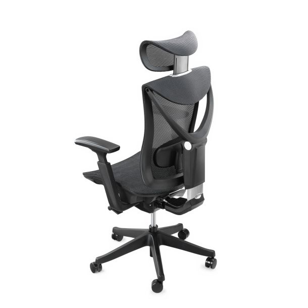 Кресло ADAPWORK S1 Mesh Senior ErgoChair Deep Black (1061485441) в интернет-магазине