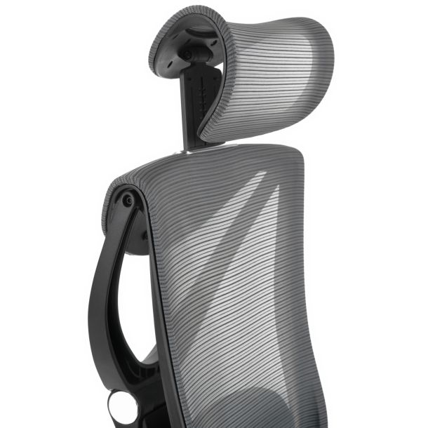 Кресло ADAPWORK S1 Mesh Senior ErgoChair Deep Black (1061485441) kupistul