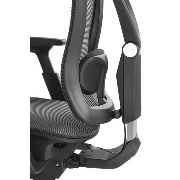 Кресло ADAPWORK S1 Mesh Senior ErgoChair Deep Black (1061485441) недорого