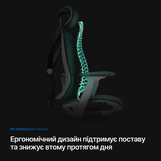Кресло ADAPWORK S1 Mesh Senior ErgoChair Deep Black (1061485441) kupistul