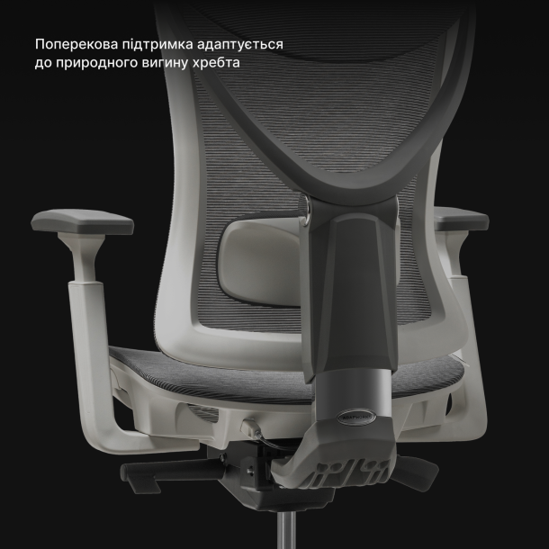 Кресло ADAPWORK S1 Mesh Senior ErgoChair Deep Black (1061485441) купить