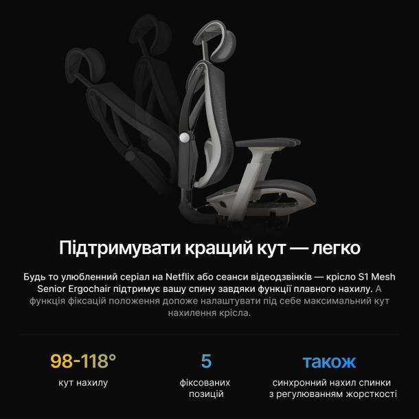 Кресло ADAPWORK S1 Mesh Senior ErgoChair Deep Black (1061485441) в Украине