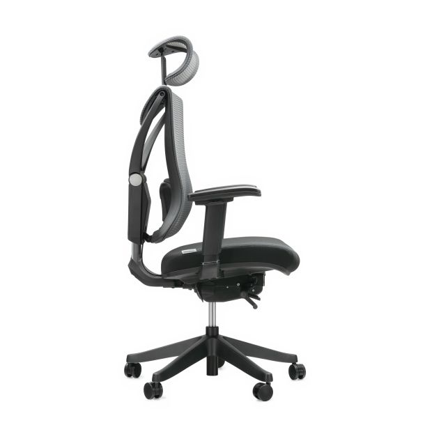 Кресло ADAPWORK S1 Senior ErgoChair Deep Black (1061485435) недорого