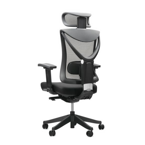 Кресло ADAPWORK S1 Senior ErgoChair Deep Black (1061485435) в Украине