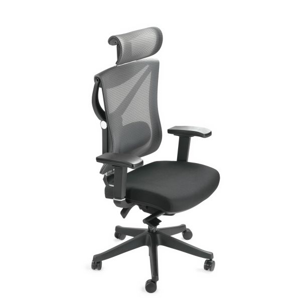 Кресло ADAPWORK S1 Senior ErgoChair Deep Black (1061485435) в Киеве