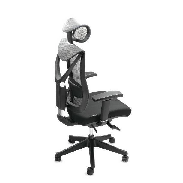 Кресло ADAPWORK S1 Senior ErgoChair Deep Black (1061485435) цена