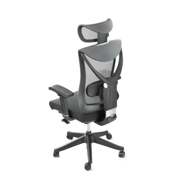 Кресло ADAPWORK S1 Senior ErgoChair Deep Black (1061485435) kupistul