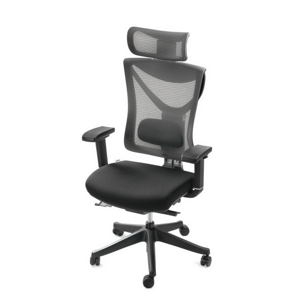Кресло ADAPWORK S1 Senior ErgoChair Deep Black (1061485435) фото